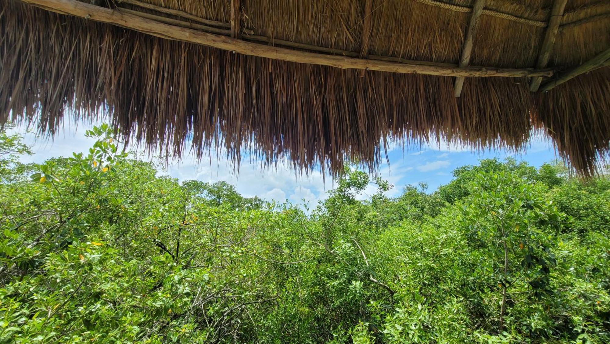 Hotel Cormoran Tulum & Cenote Экстерьер фото